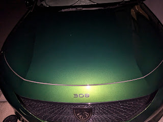 308ボンネットを夜間に撮った写真