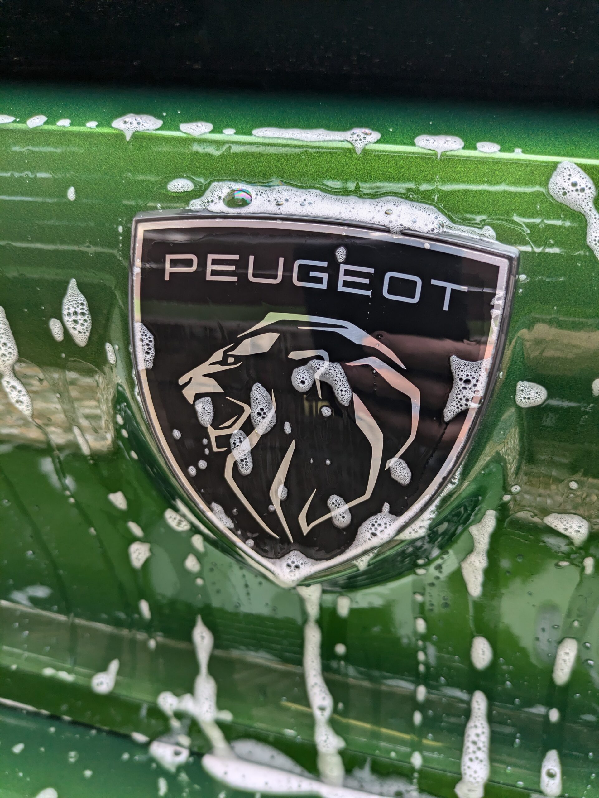 プジョーエンブレムと洗車の泡