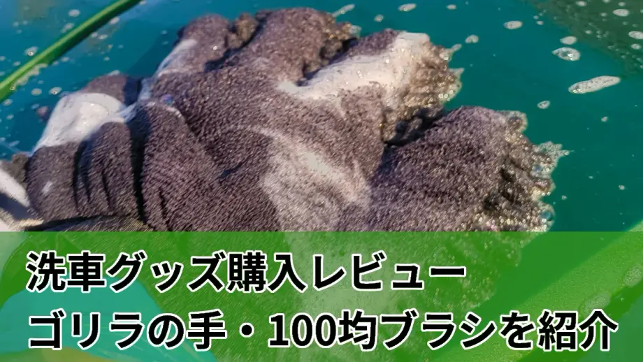 ゴリラの手を使いボディを洗っている