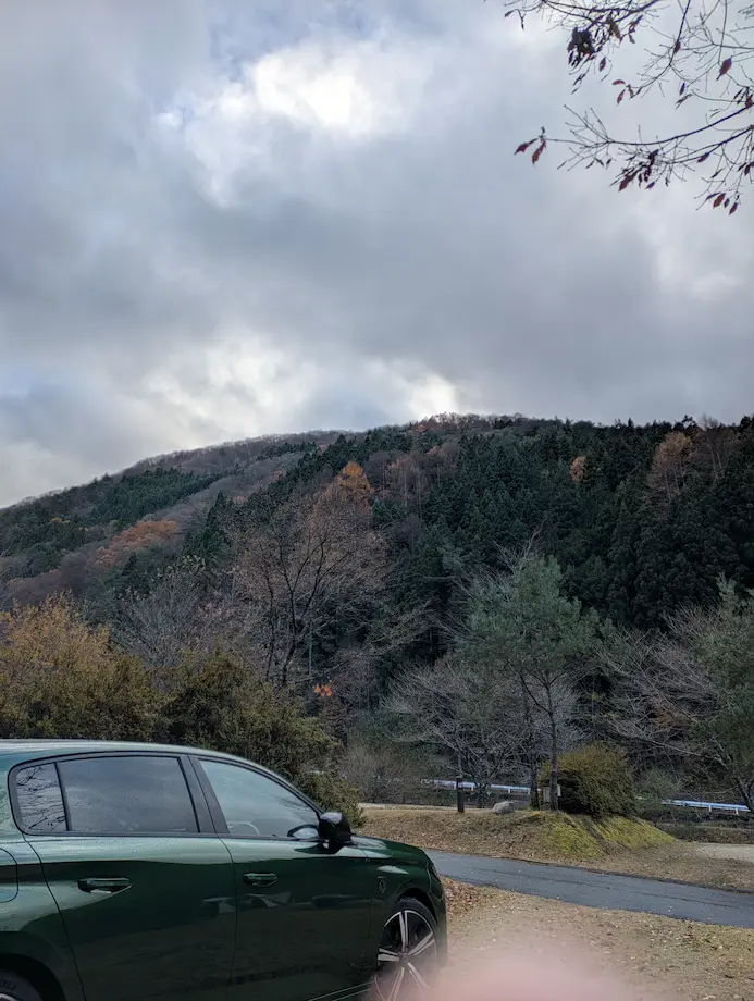 キャンプ場にて、曇天の下で山中に駐車した308