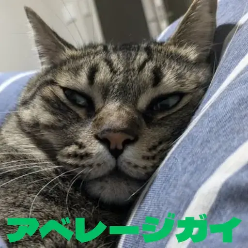 ひだみ