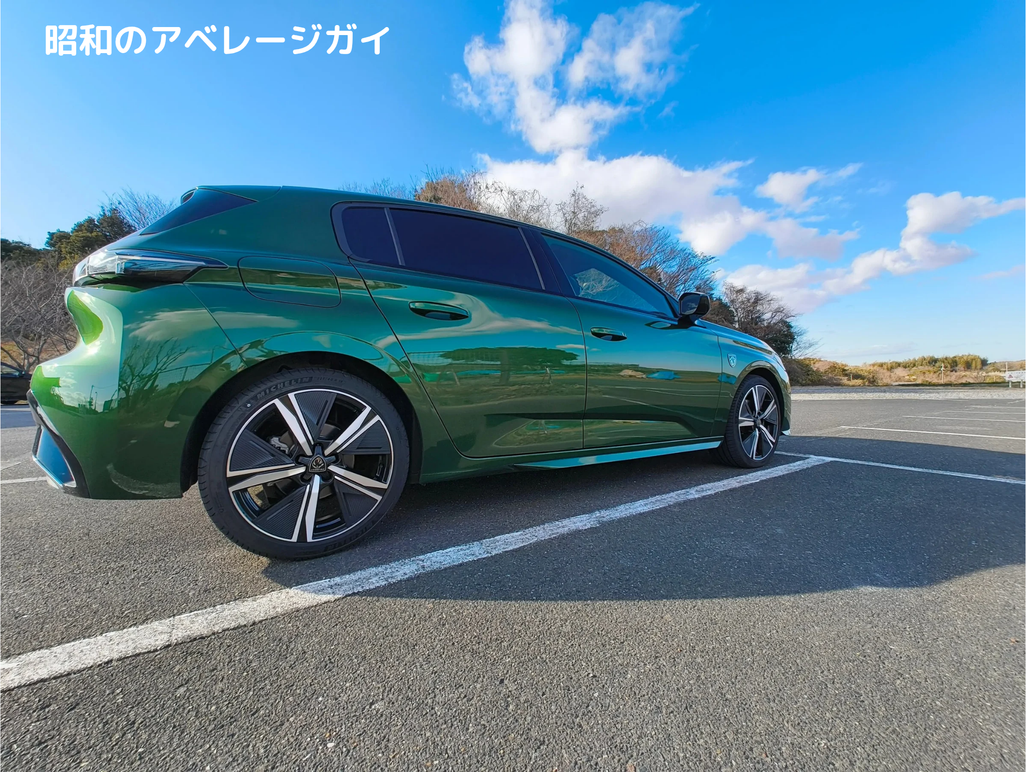 青空を背景に308を横から撮影した写真