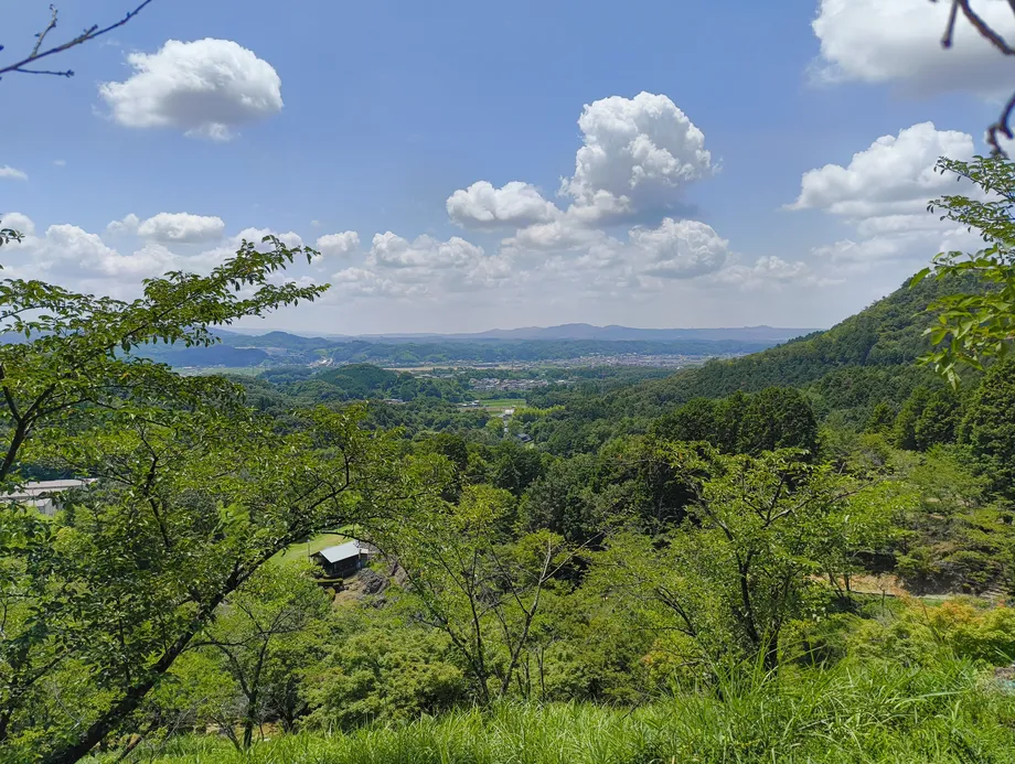 駐車場からの景色、森の緑と青空