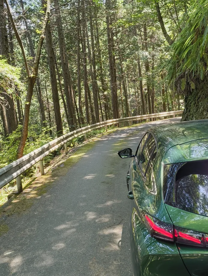 山城までの道中の308