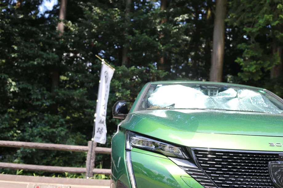 308を駐車場に停めたところ、背後に旗がある