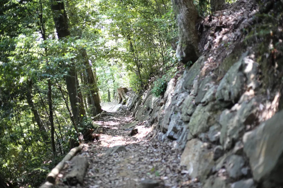 天守台横の石垣、細い道と低めの石垣がある