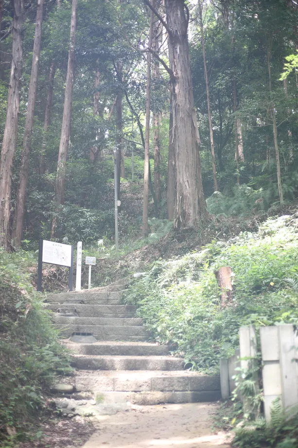 南側駐車場からの登山道