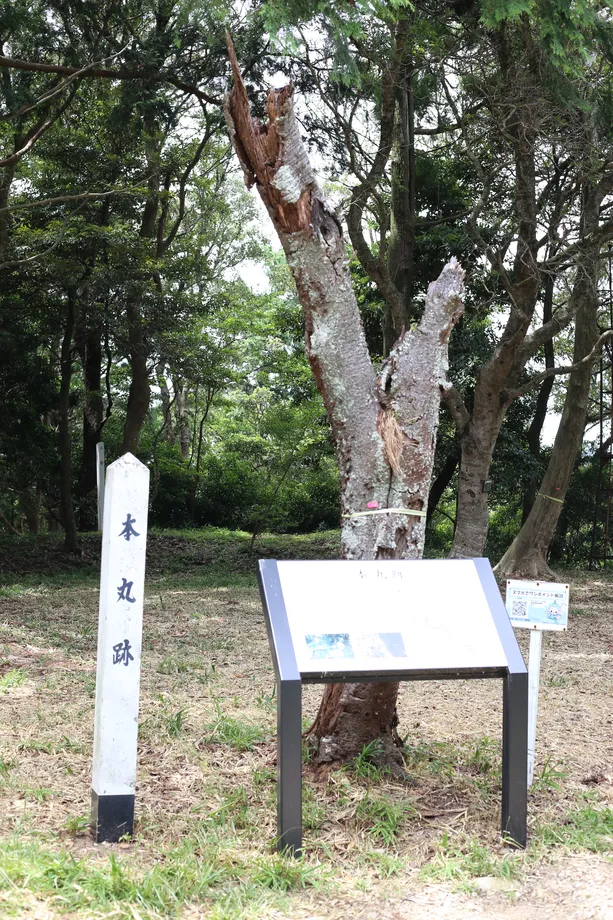 高天神城跡本丸跡