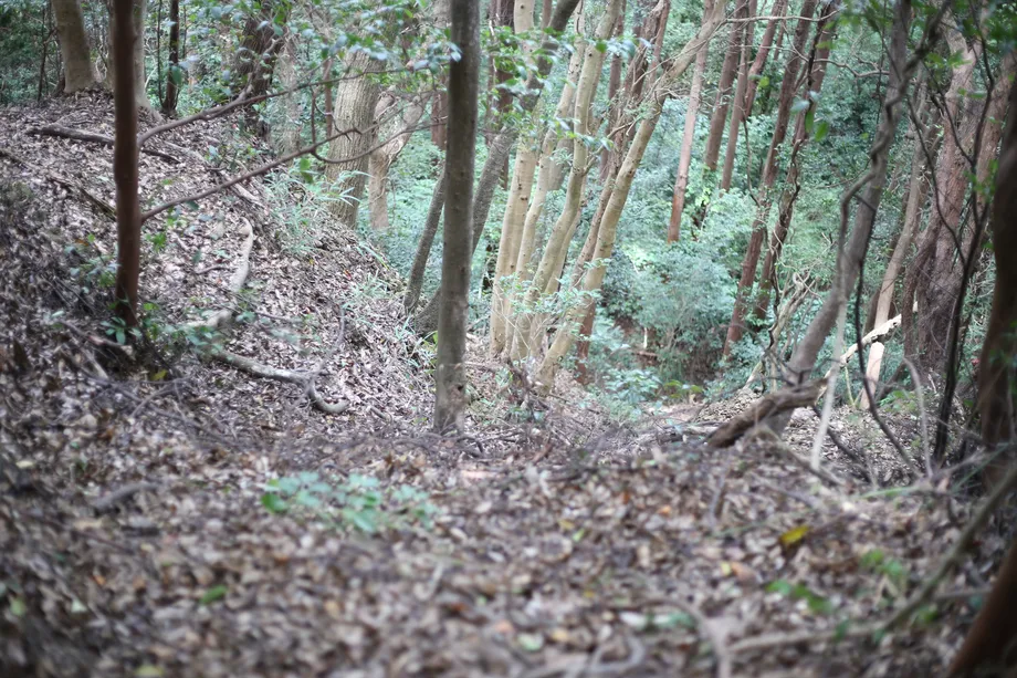 高天神城の登山道から崖をみおろしたところ