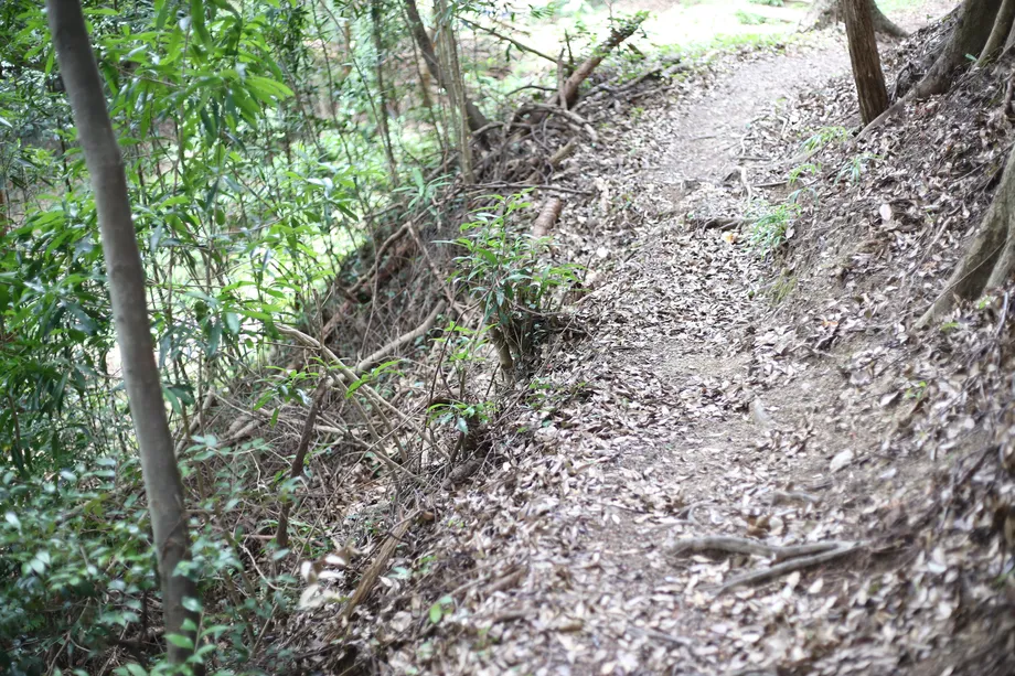 細い獣道のような登山道