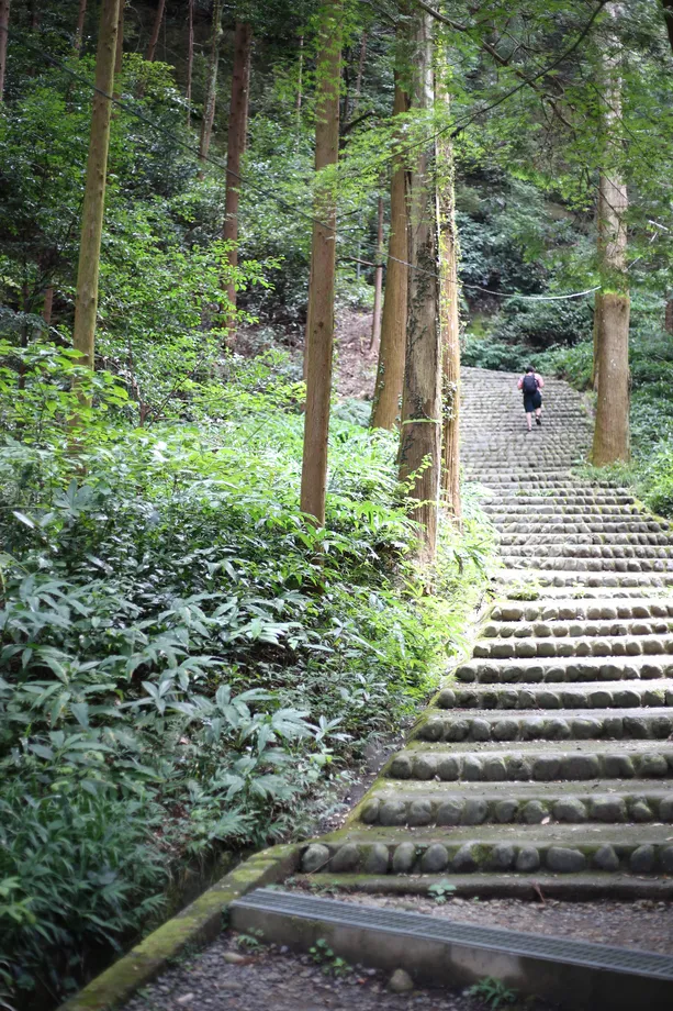 搦手門からの登山道、長い階段が続く