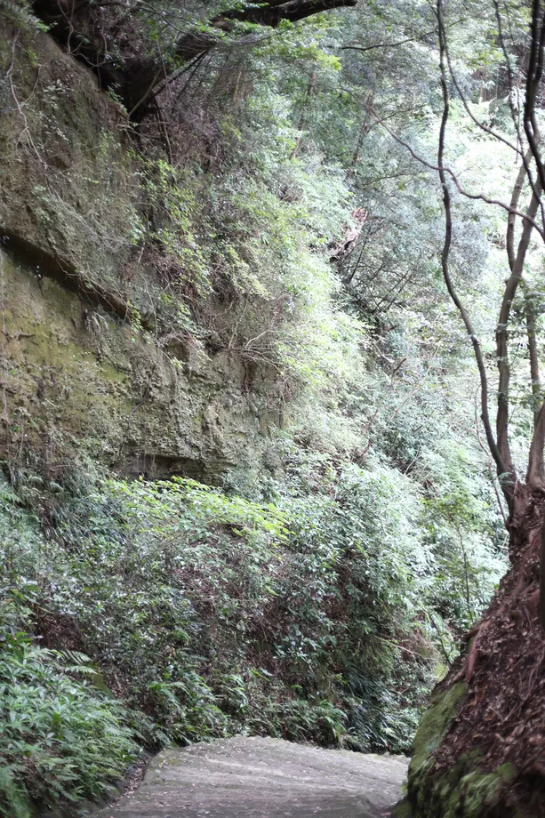 登山道のがけ