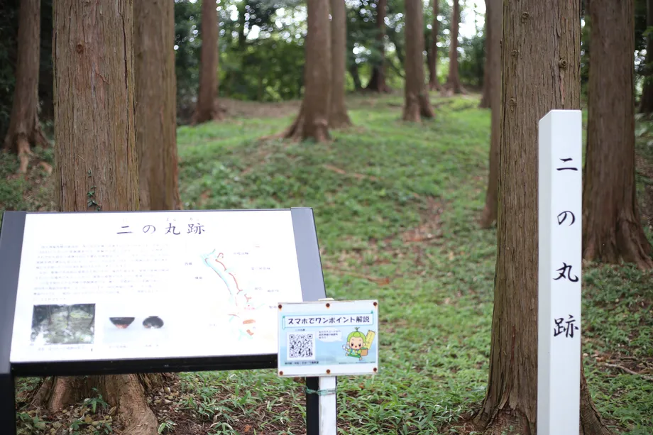 二の丸跡、杉の木がたくさん