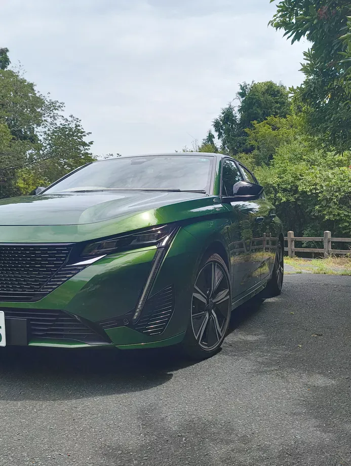 高天神城に駐車したプジョー308