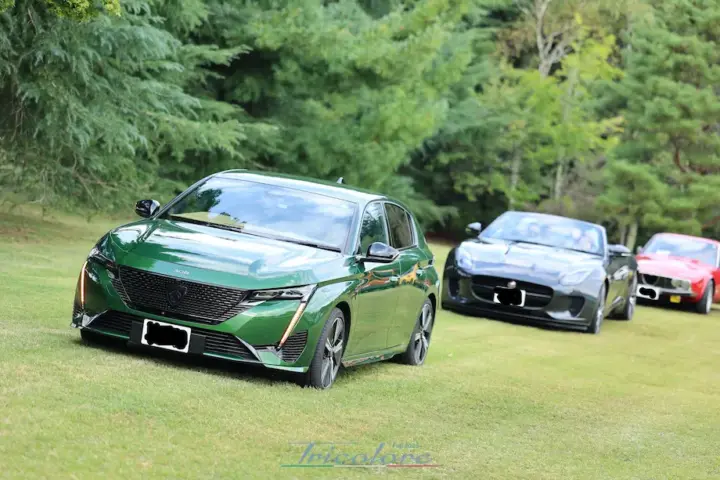 プジョー308が会場へ入場しているところ