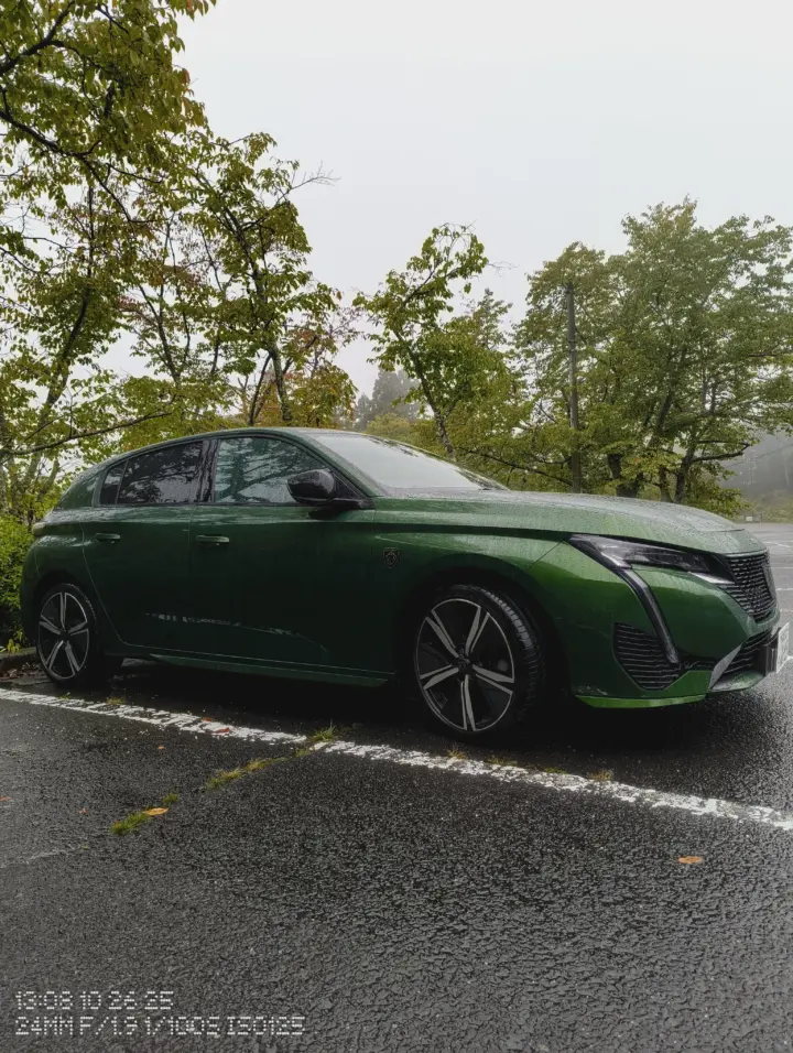 永源寺に駐車したプジョー308