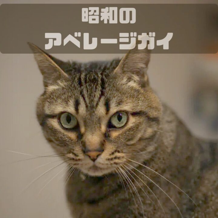 ひだみ