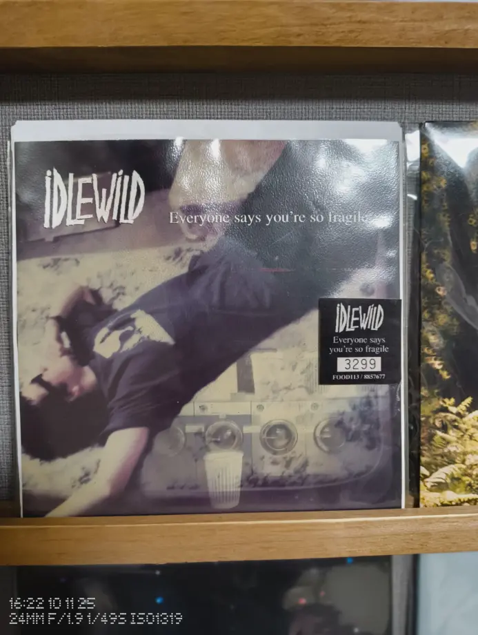 Everyone says you're so fragileの7インチレコード