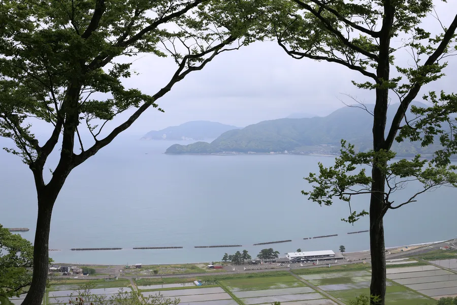 本丸跡からの港の風景