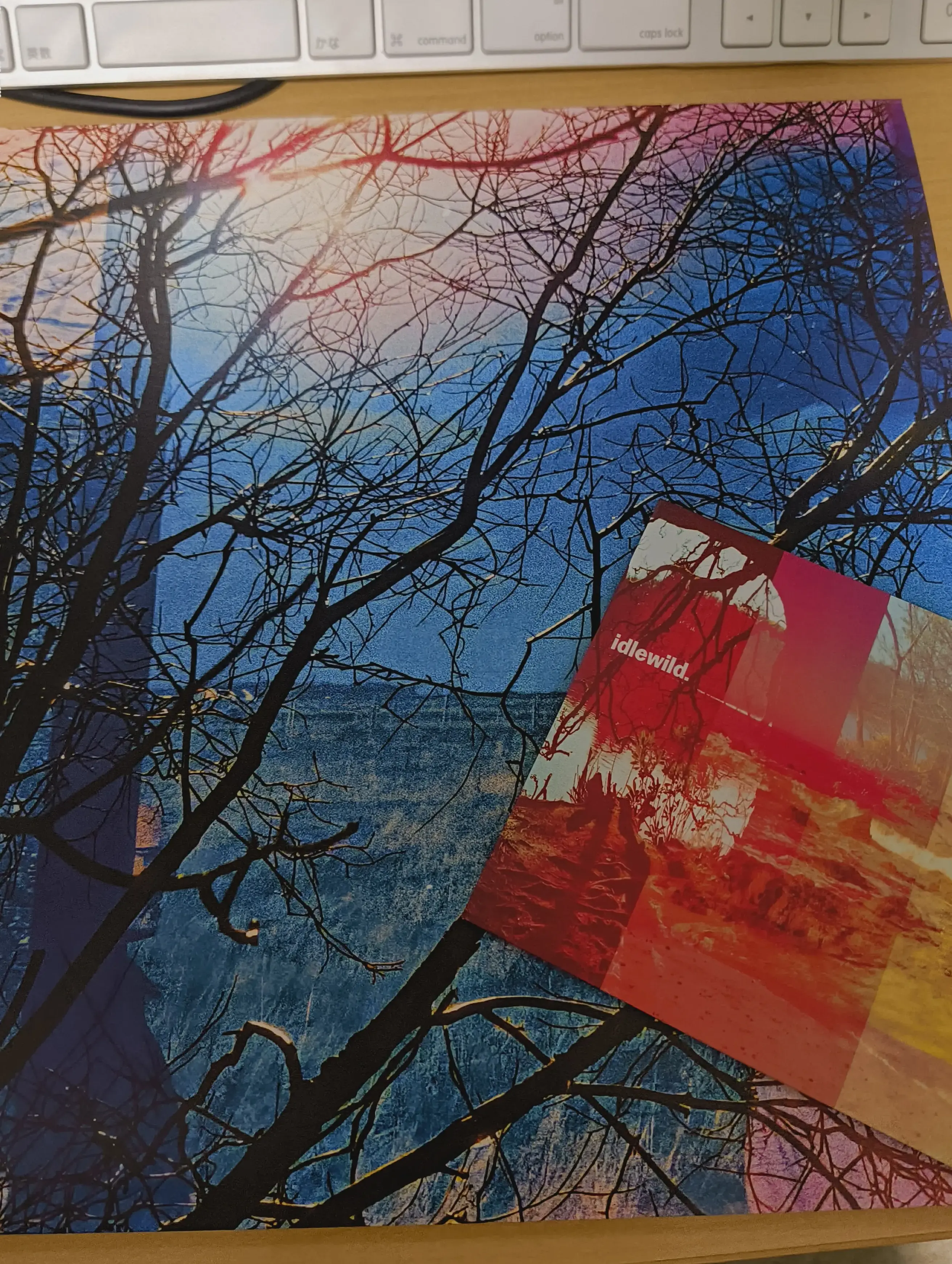 新作「idlewild」のレコード