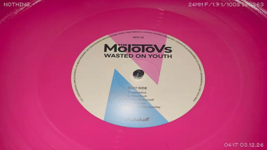 the molotovs「wasted on youth」レコード