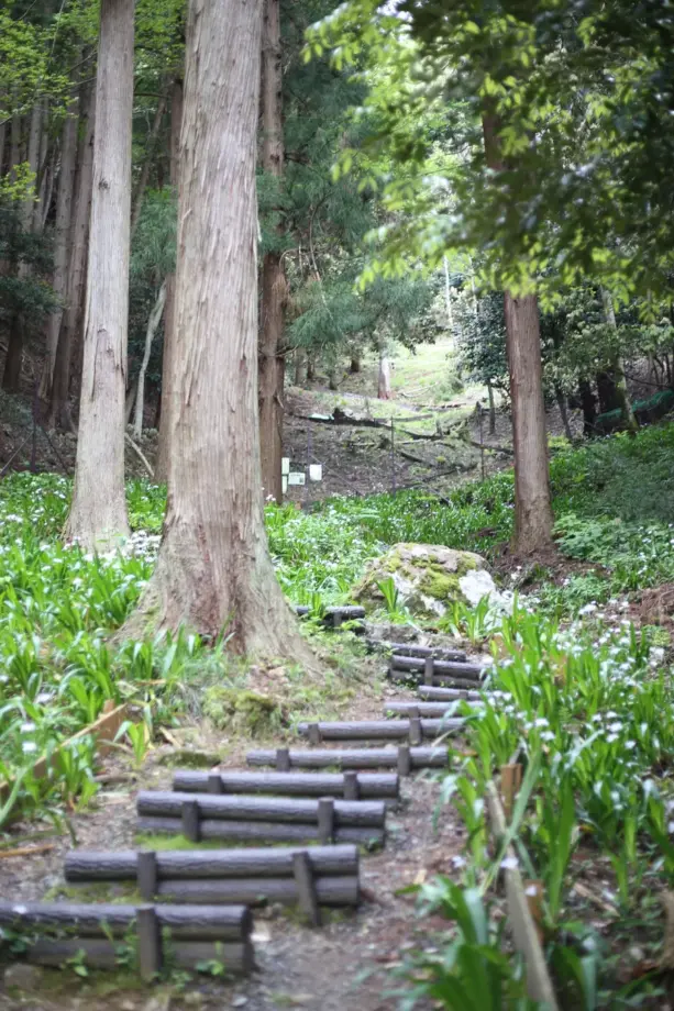 国吉城の道中。階段が続く…