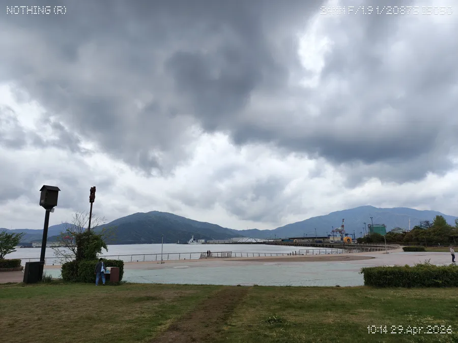 緑地公園からの敦賀港の景色