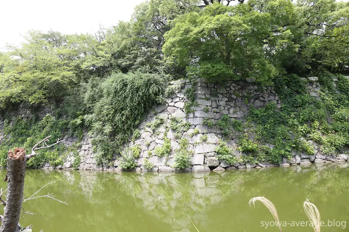 外堀から石垣を写したところ