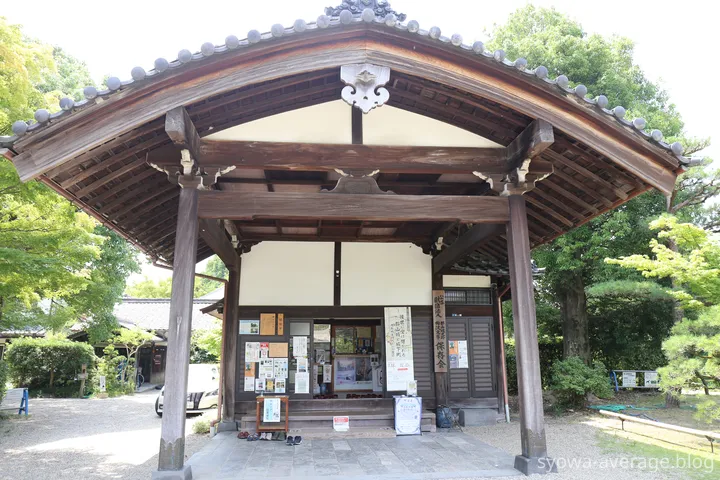 正面から撮影したところ