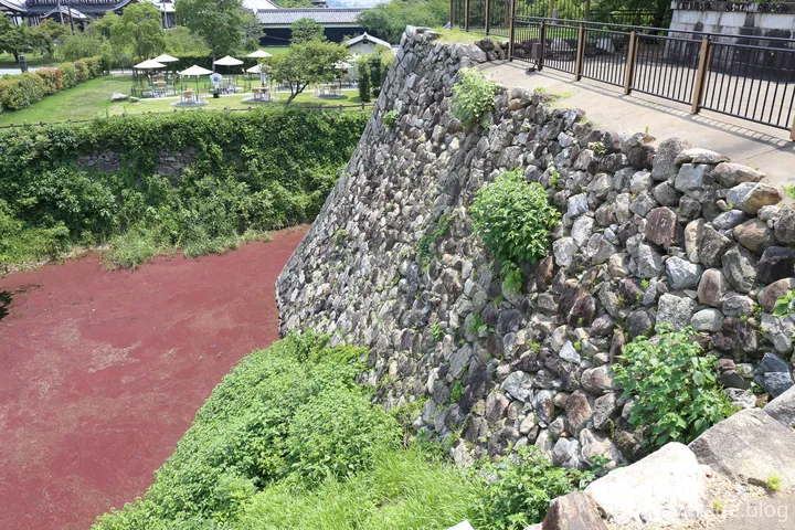 本丸の堀にある石垣、なかなかの高さ