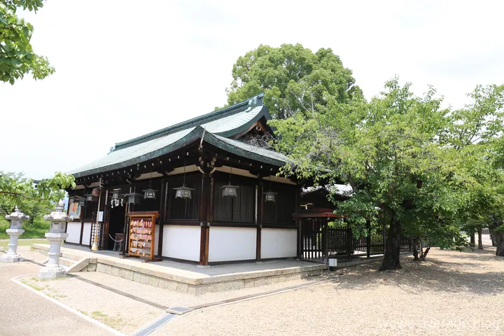 社が木に囲まれている様子