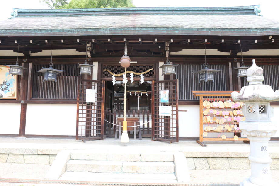 正面から撮影したところ