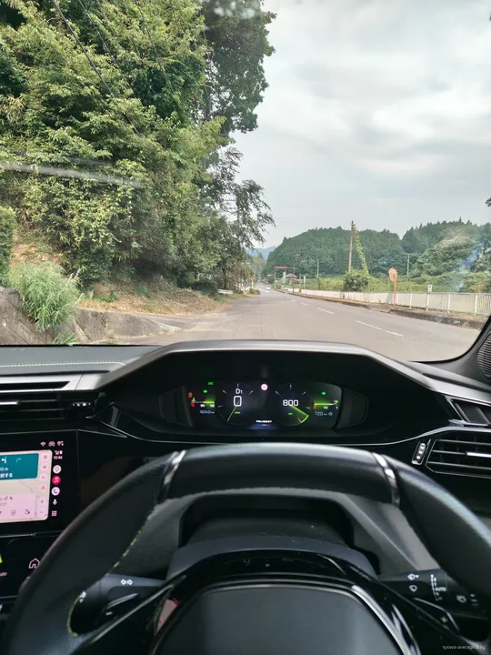 国道166号を運転席から写した。緑が広がる長閑な道